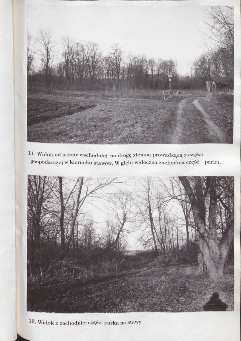 Ewidencja parkowa, skan nr 40