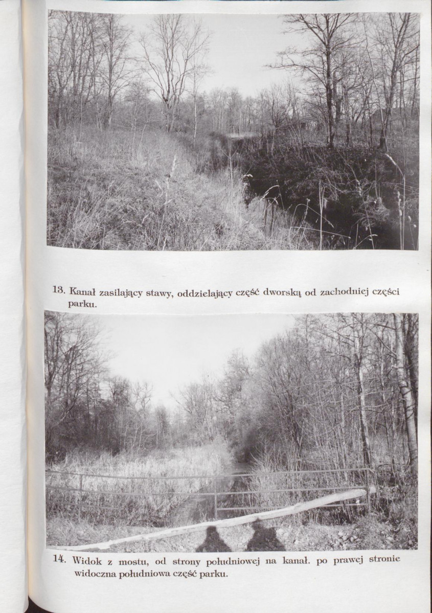 Ewidencja parkowa, skan nr 41