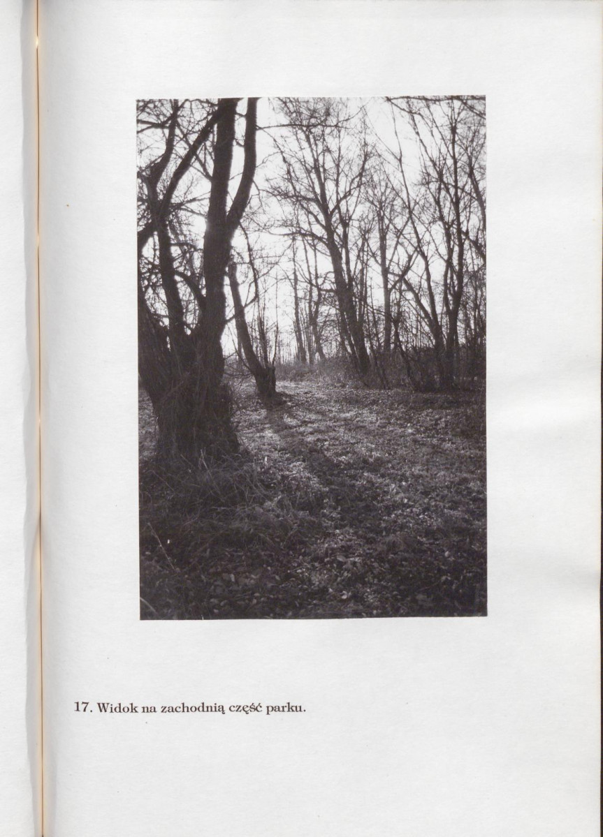 Ewidencja parkowa, skan nr 43