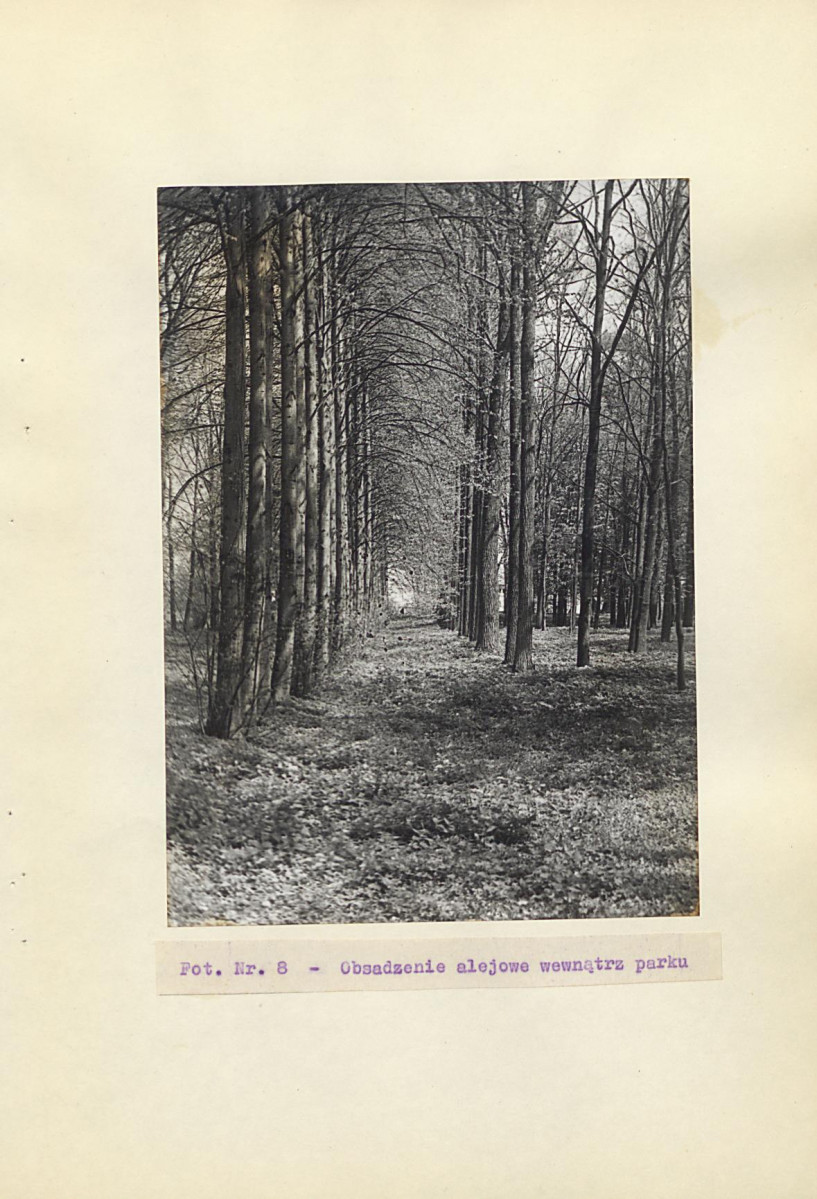 Ewidencja parkowa, skan nr 26