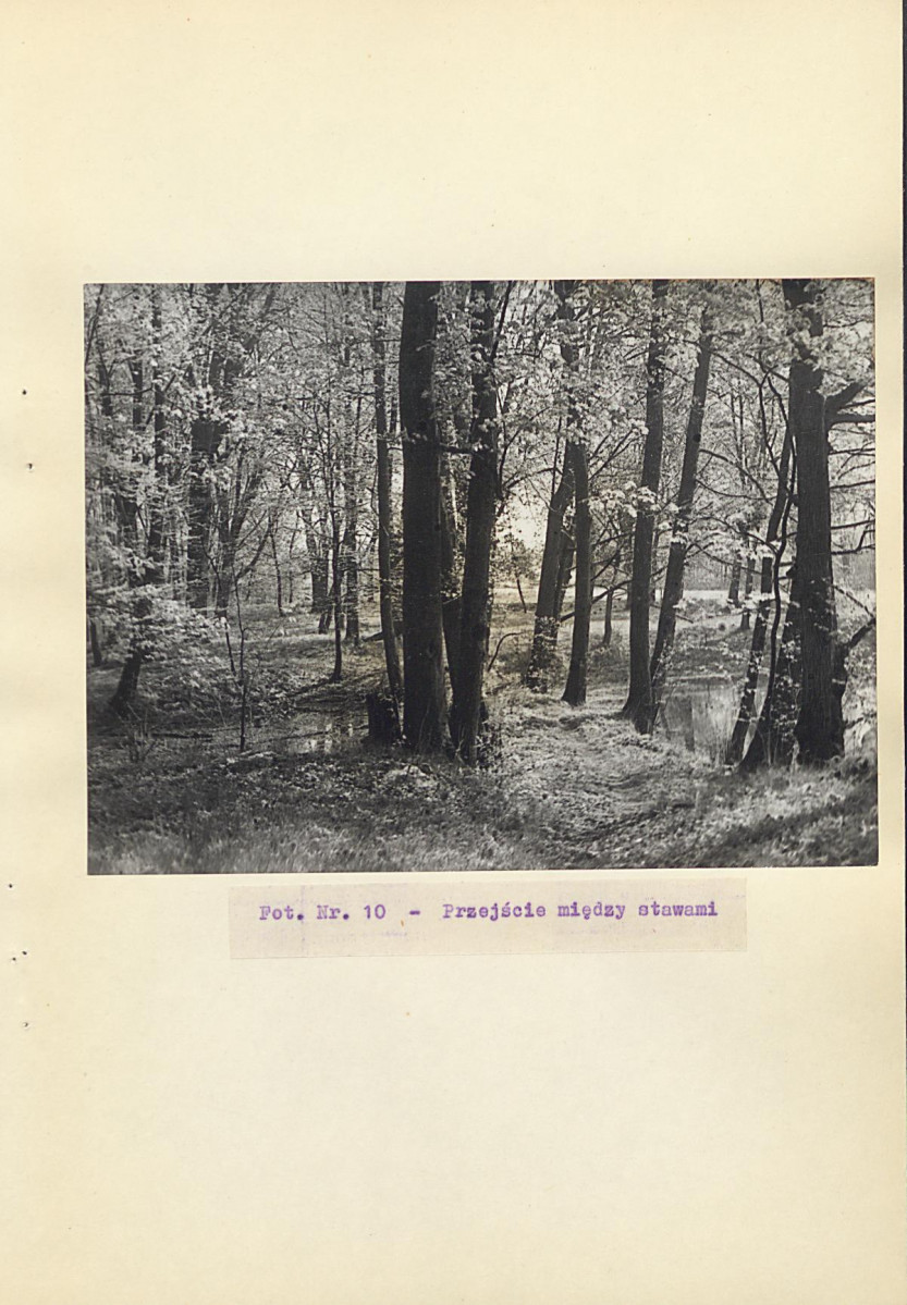 Ewidencja parkowa, skan nr 28