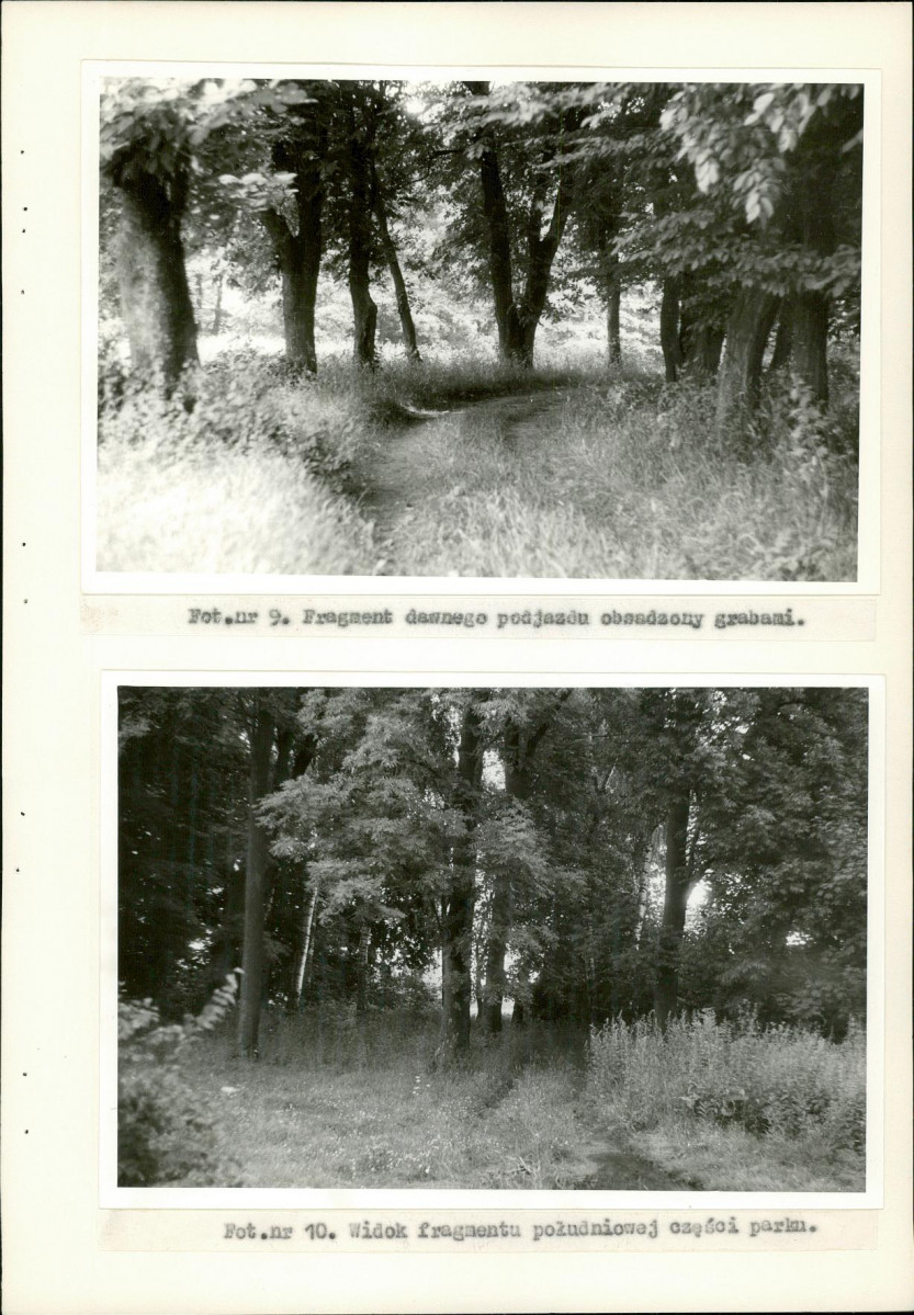 EP - Ewidencja parkowa, skan nr 36