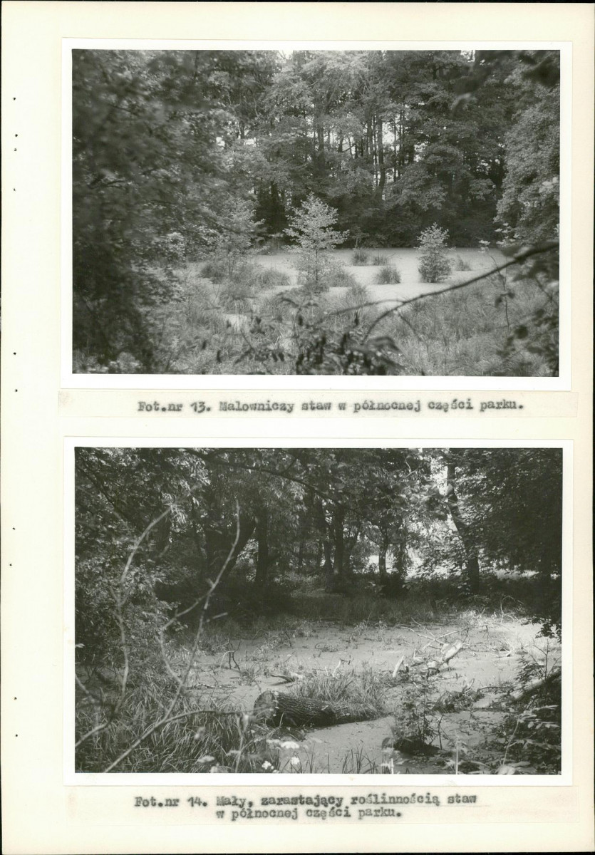 EP - Ewidencja parkowa, skan nr 38