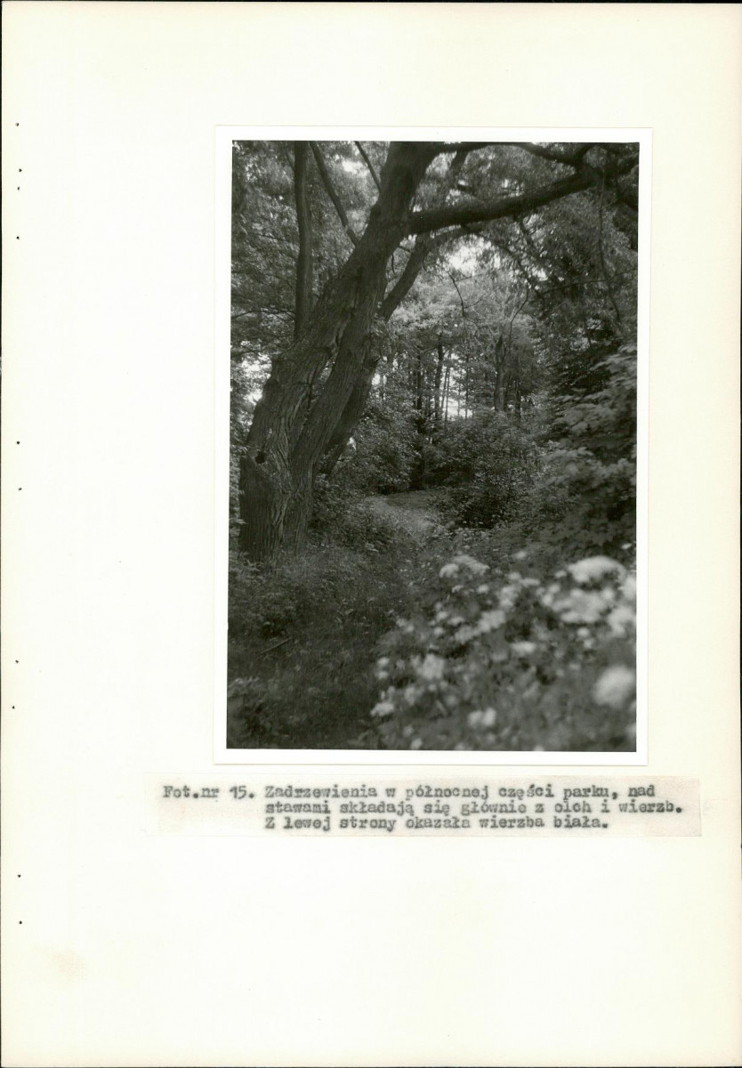 EP - Ewidencja parkowa, skan nr 39