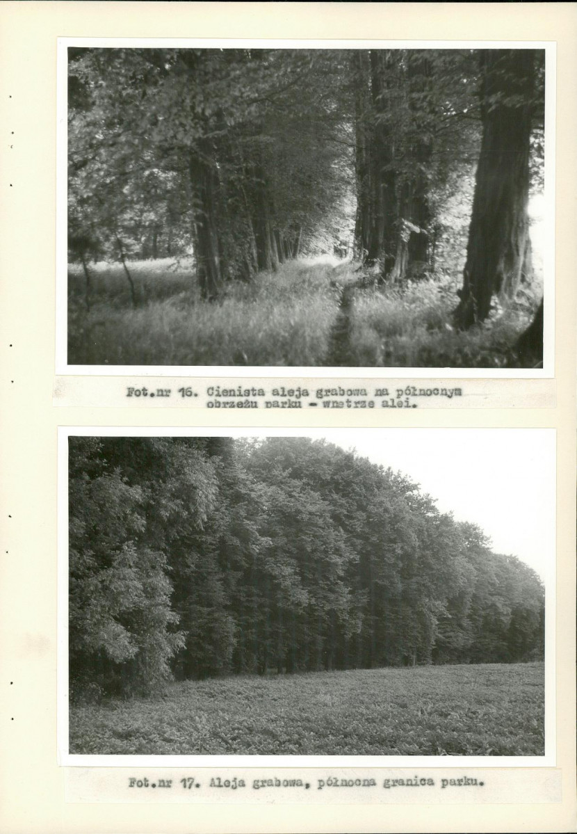 EP - Ewidencja parkowa, skan nr 40