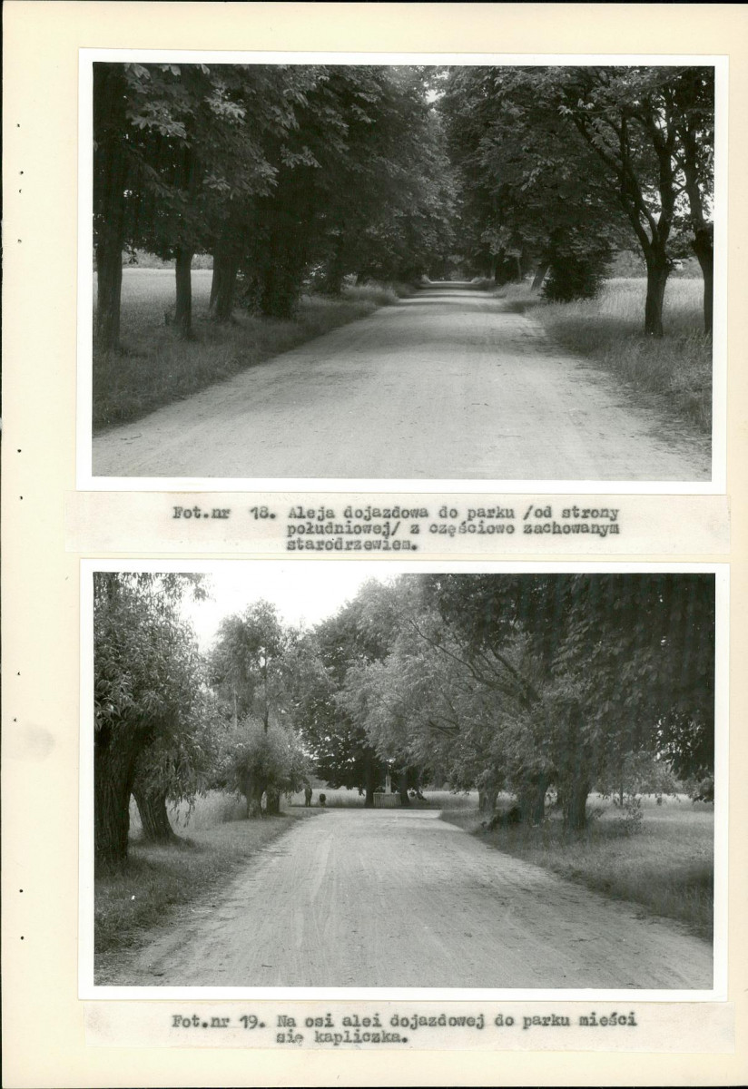 EP - Ewidencja parkowa, skan nr 41