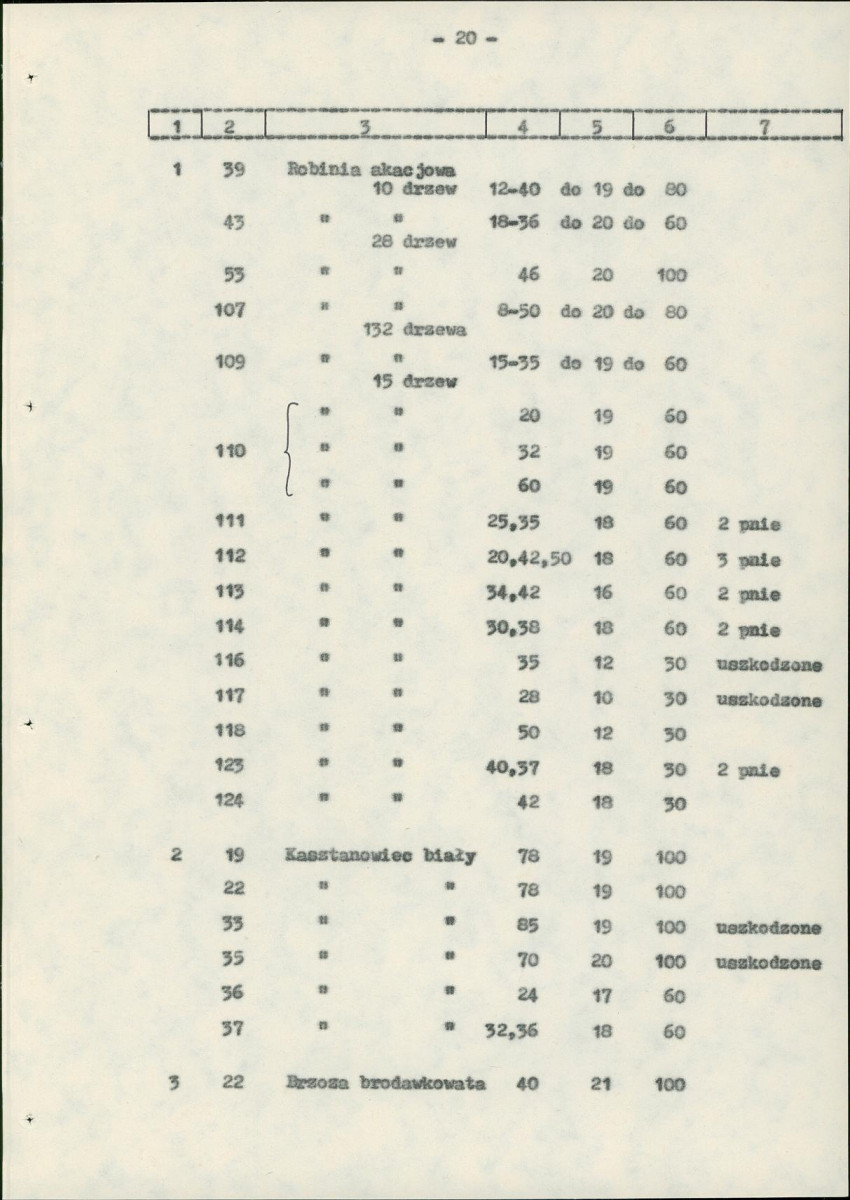 Ewidencja parkowa, skan nr 27