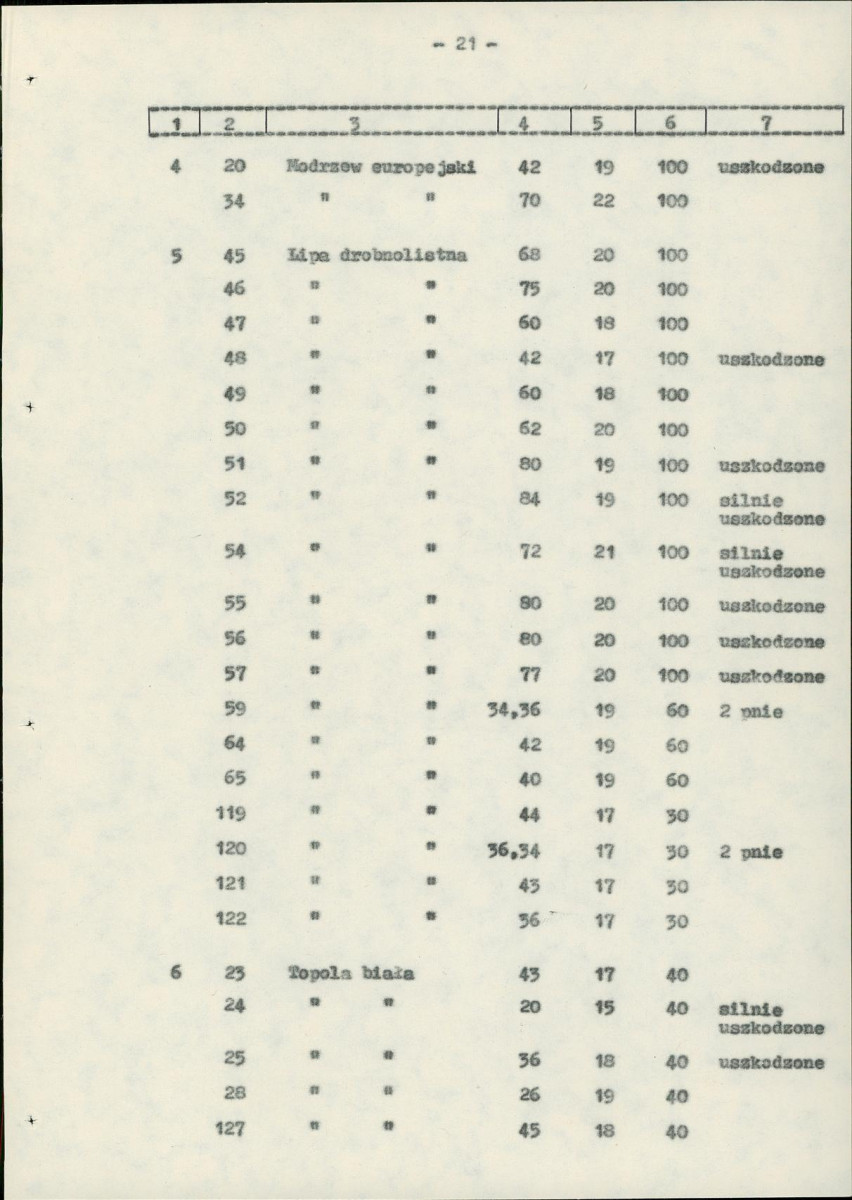 Ewidencja parkowa, skan nr 28