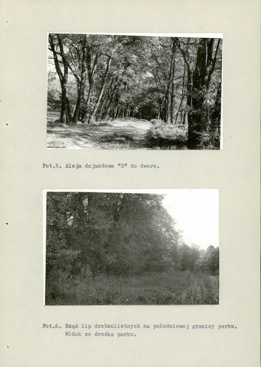 Ewidencja parkowa, skan nr 46