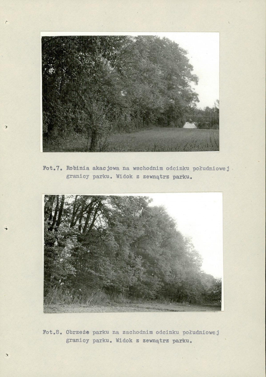 Ewidencja parkowa, skan nr 47