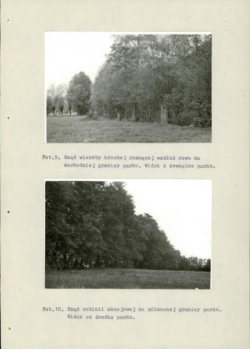 Ewidencja parkowa, skan nr 48