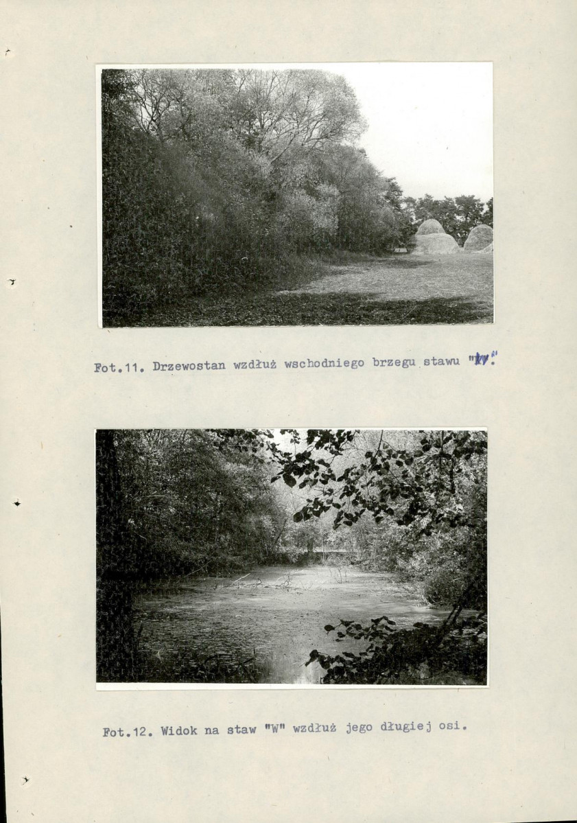 Ewidencja parkowa, skan nr 49