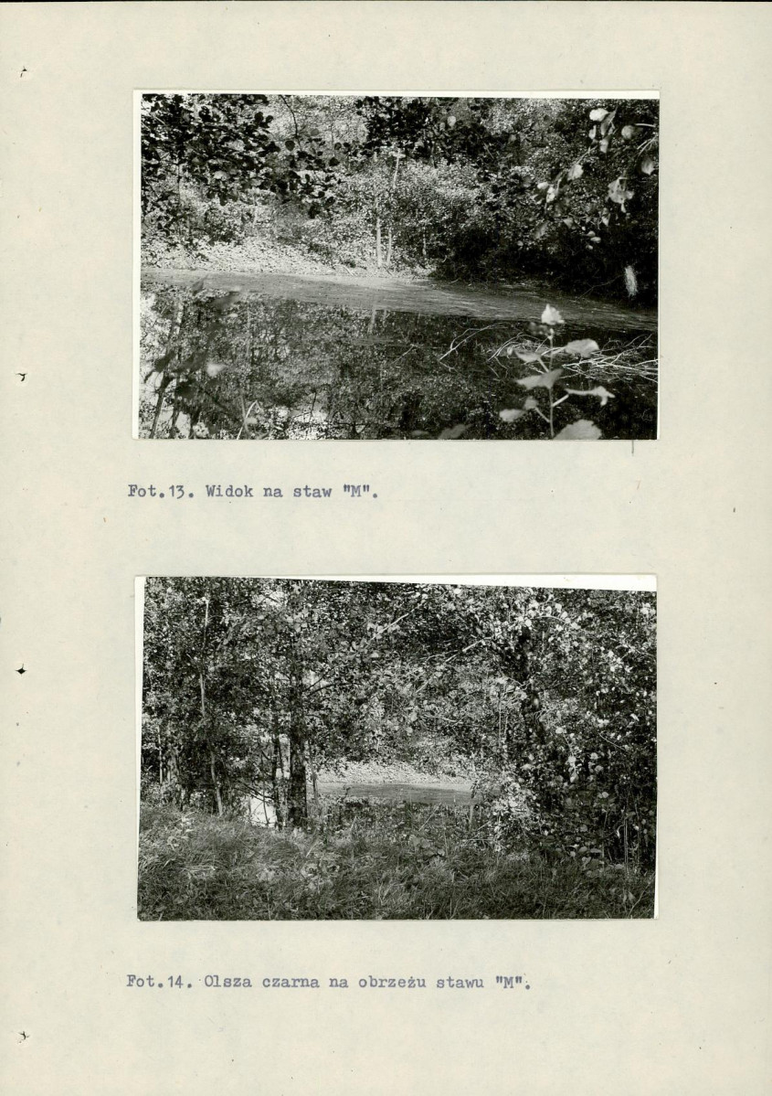 Ewidencja parkowa, skan nr 50