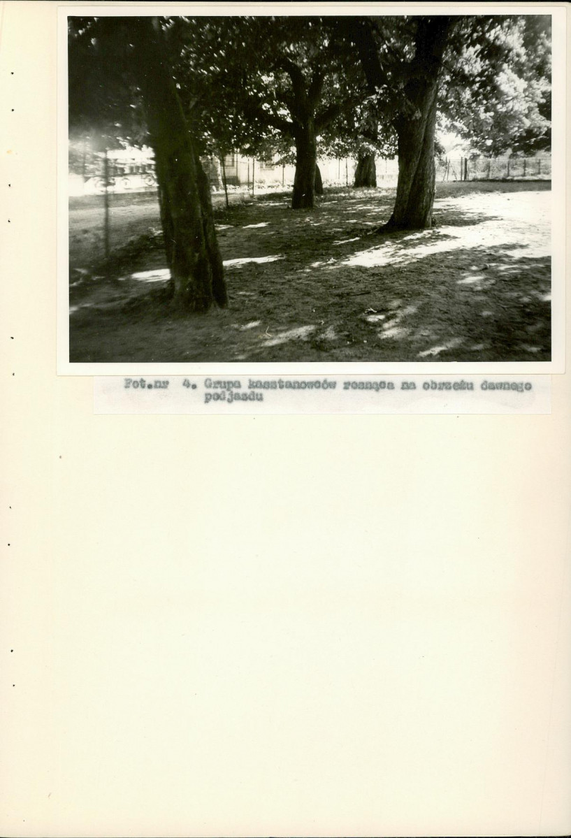 Ewidencja parkowa, skan nr 26