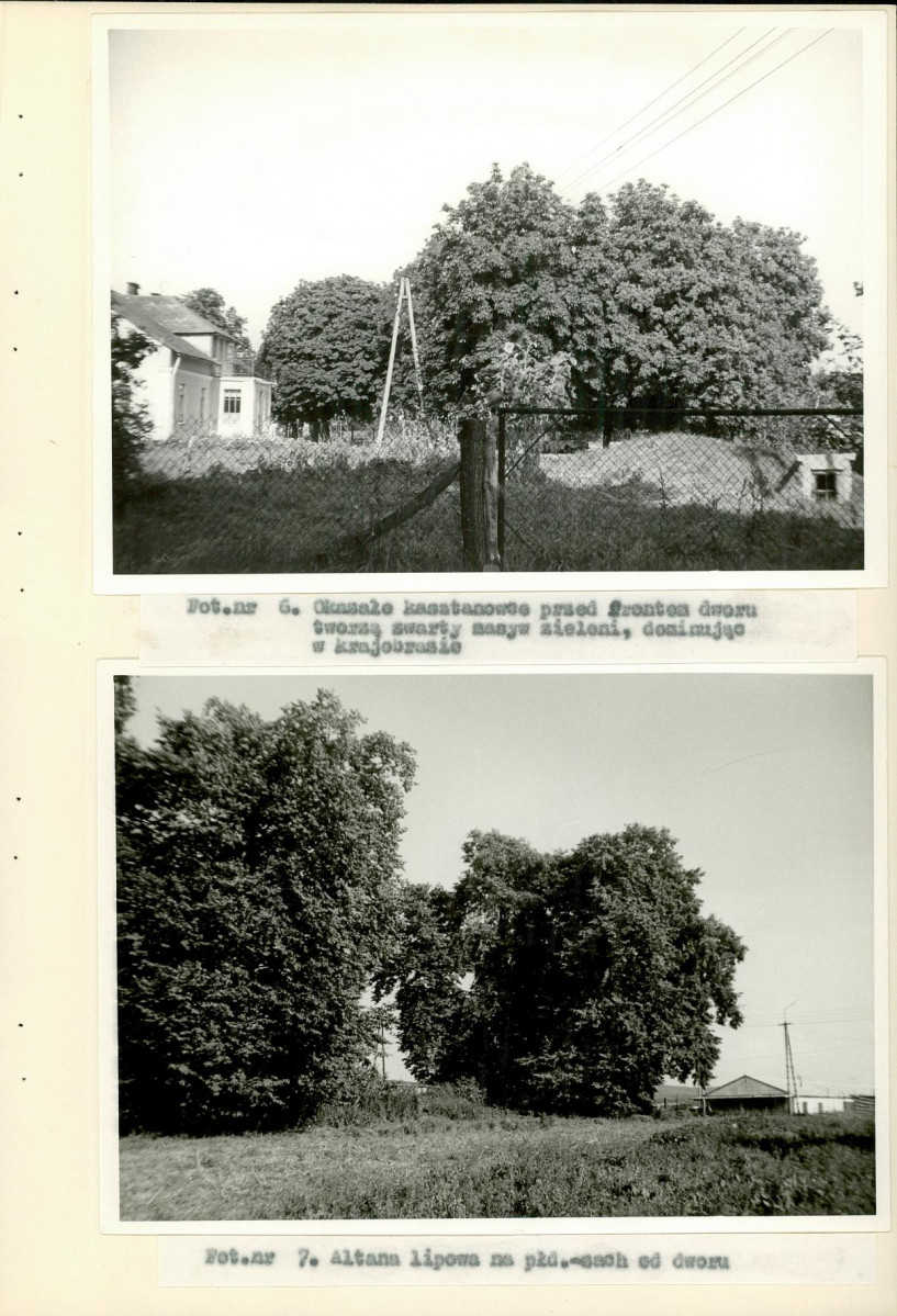 Ewidencja parkowa, skan nr 28