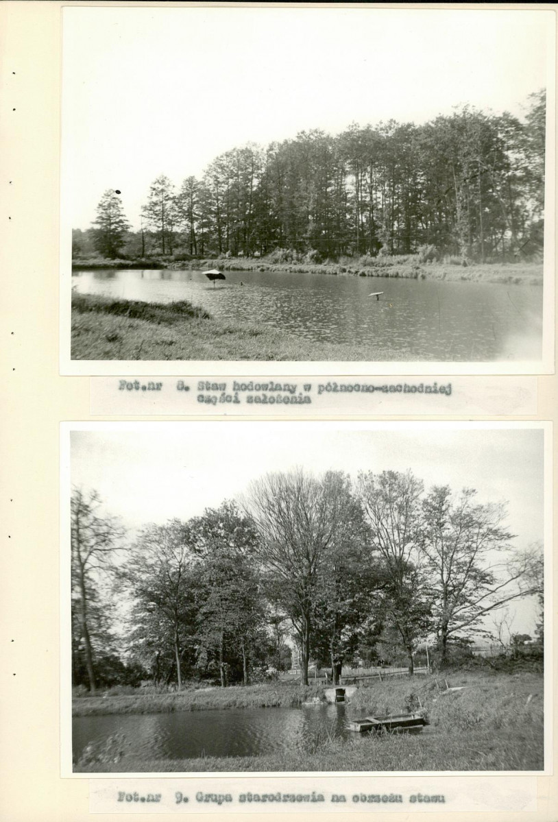Ewidencja parkowa, skan nr 29