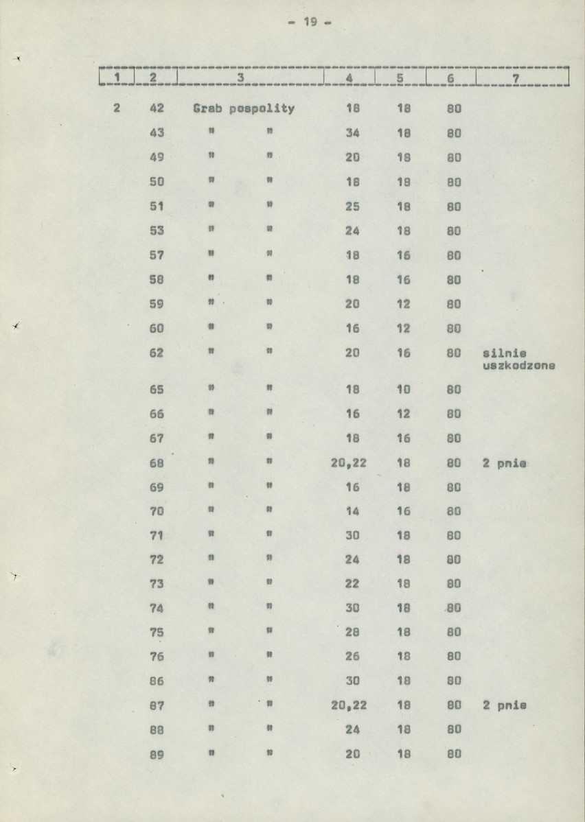 Ewidencja parkowa, skan nr 27