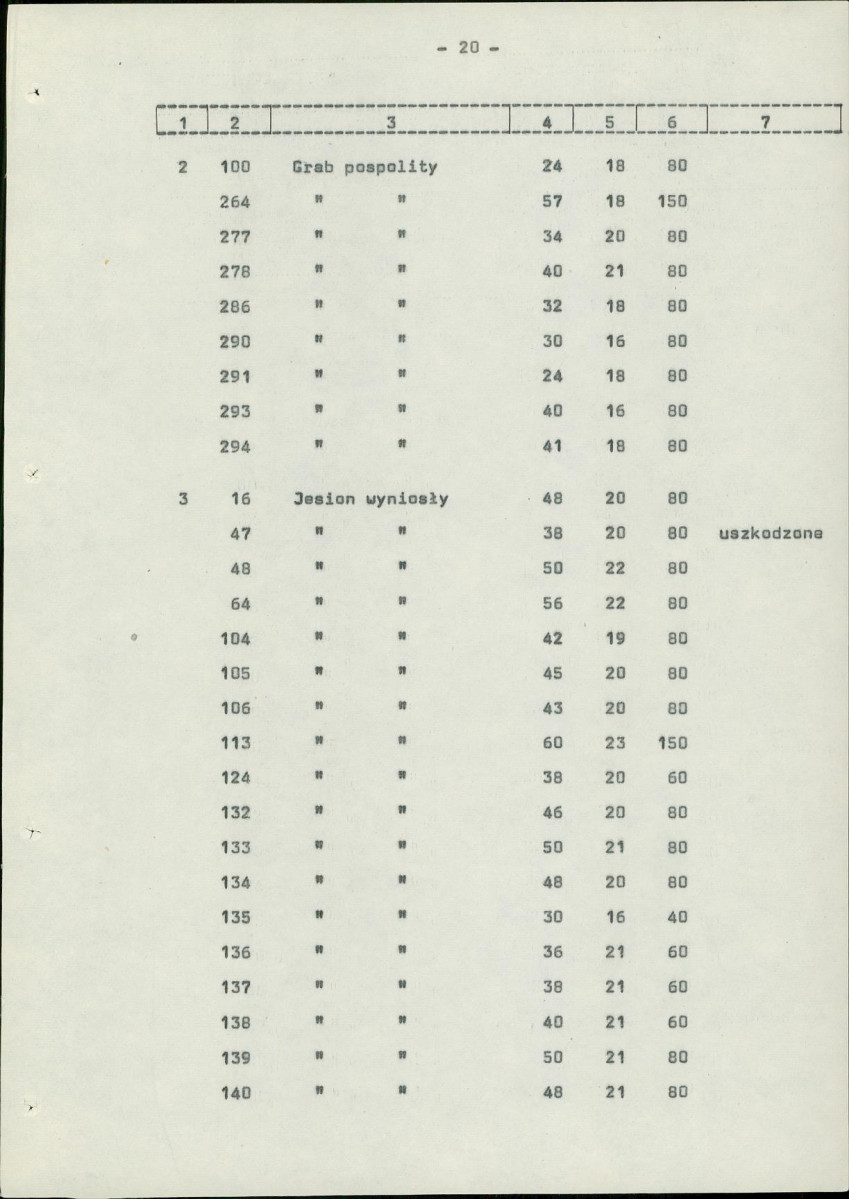 Ewidencja parkowa, skan nr 28