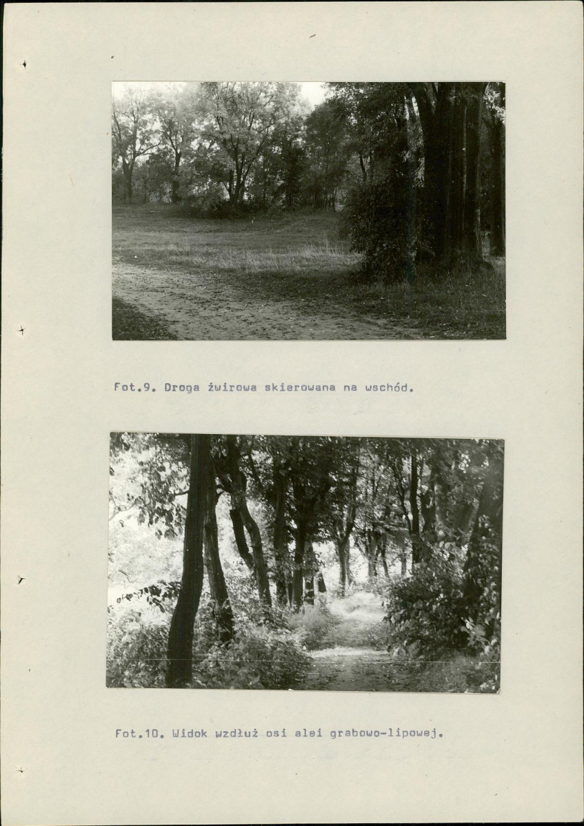 Ewidencja parkowa, skan nr 55