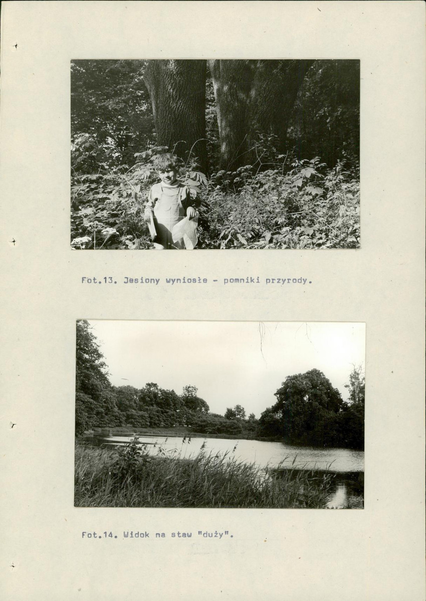 Ewidencja parkowa, skan nr 57