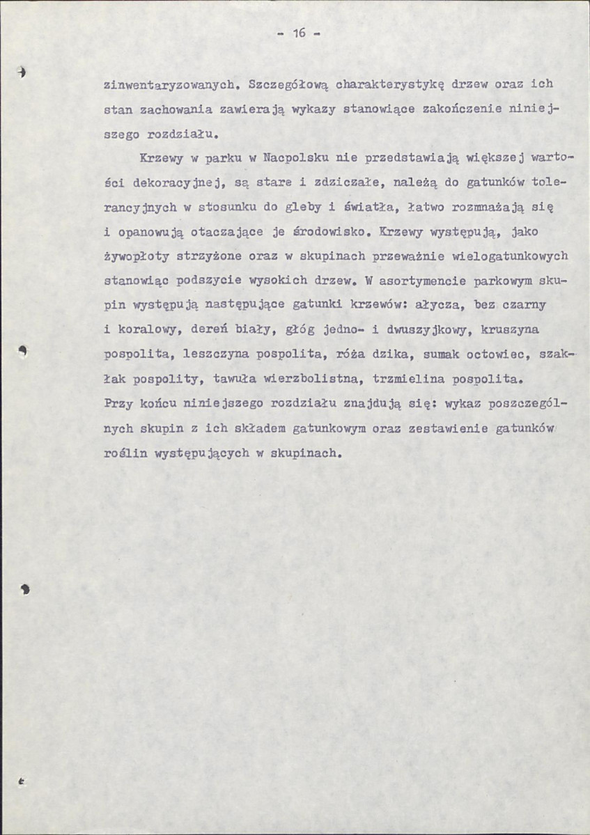 Ewidencja parkowa, skan nr 24