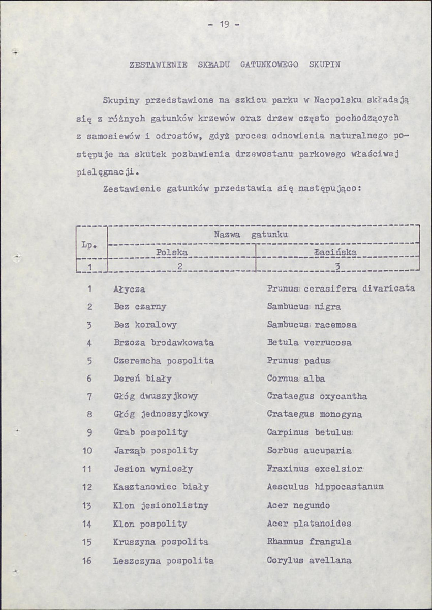 Ewidencja parkowa, skan nr 27