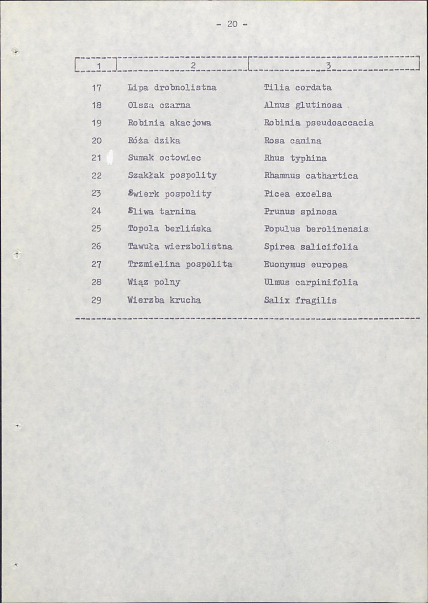 Ewidencja parkowa, skan nr 28