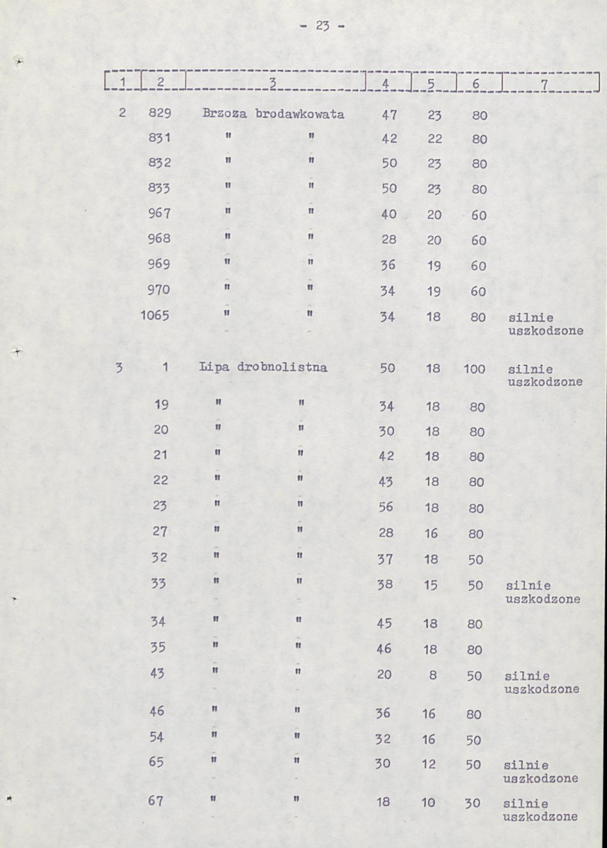 Ewidencja parkowa, skan nr 31