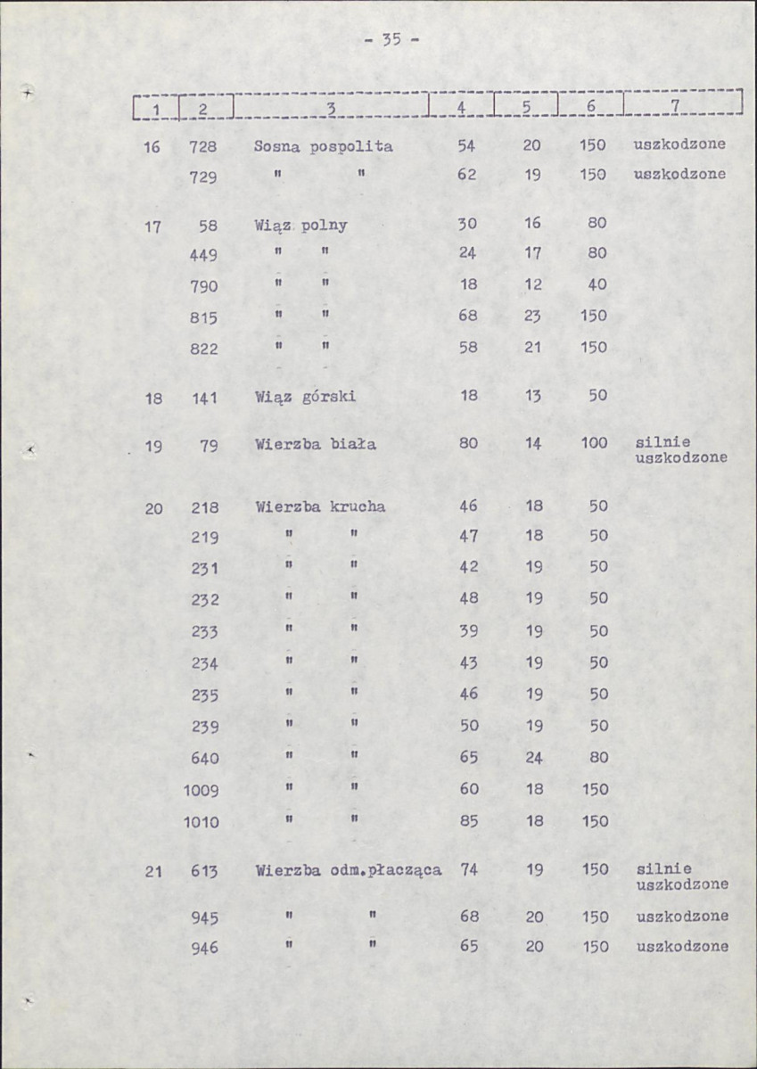 Ewidencja parkowa, skan nr 43