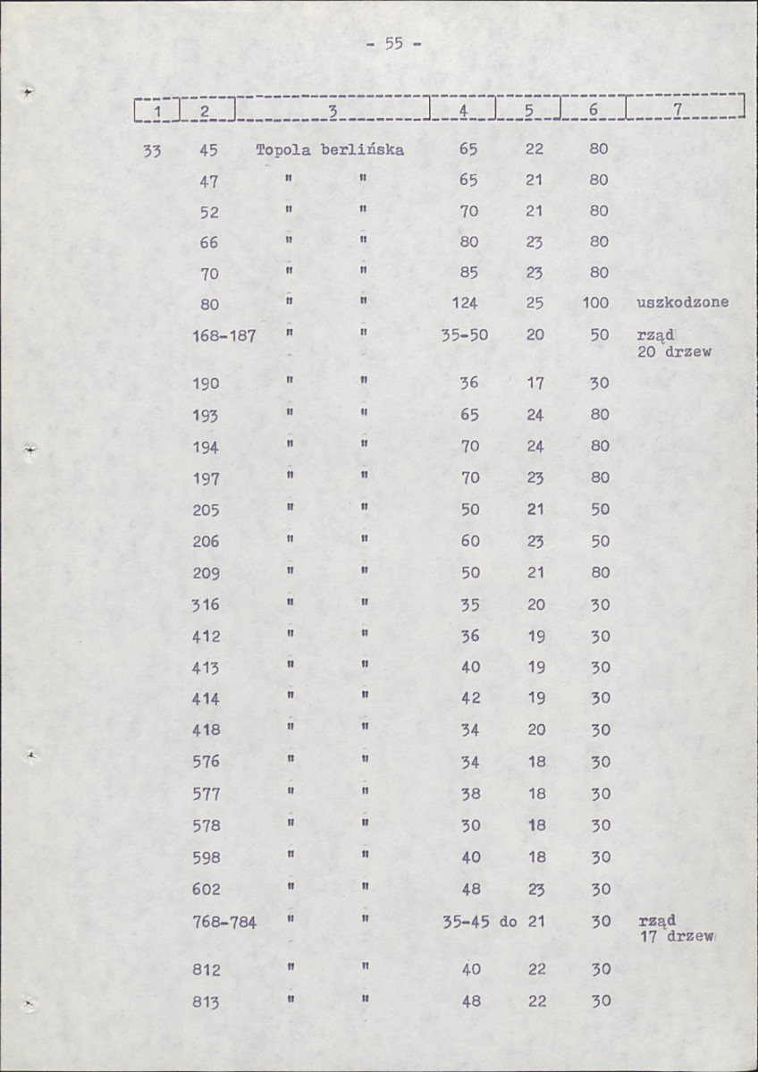 Ewidencja parkowa, skan nr 63