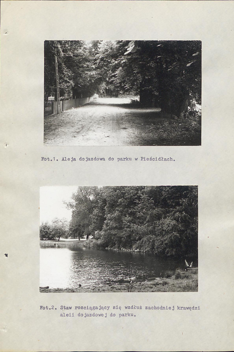 Ewidencja parkowa, skan nr 48