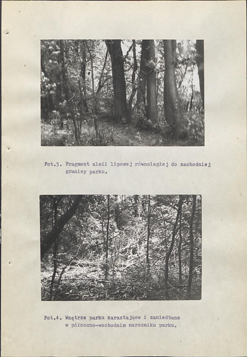 Ewidencja parkowa, skan nr 49
