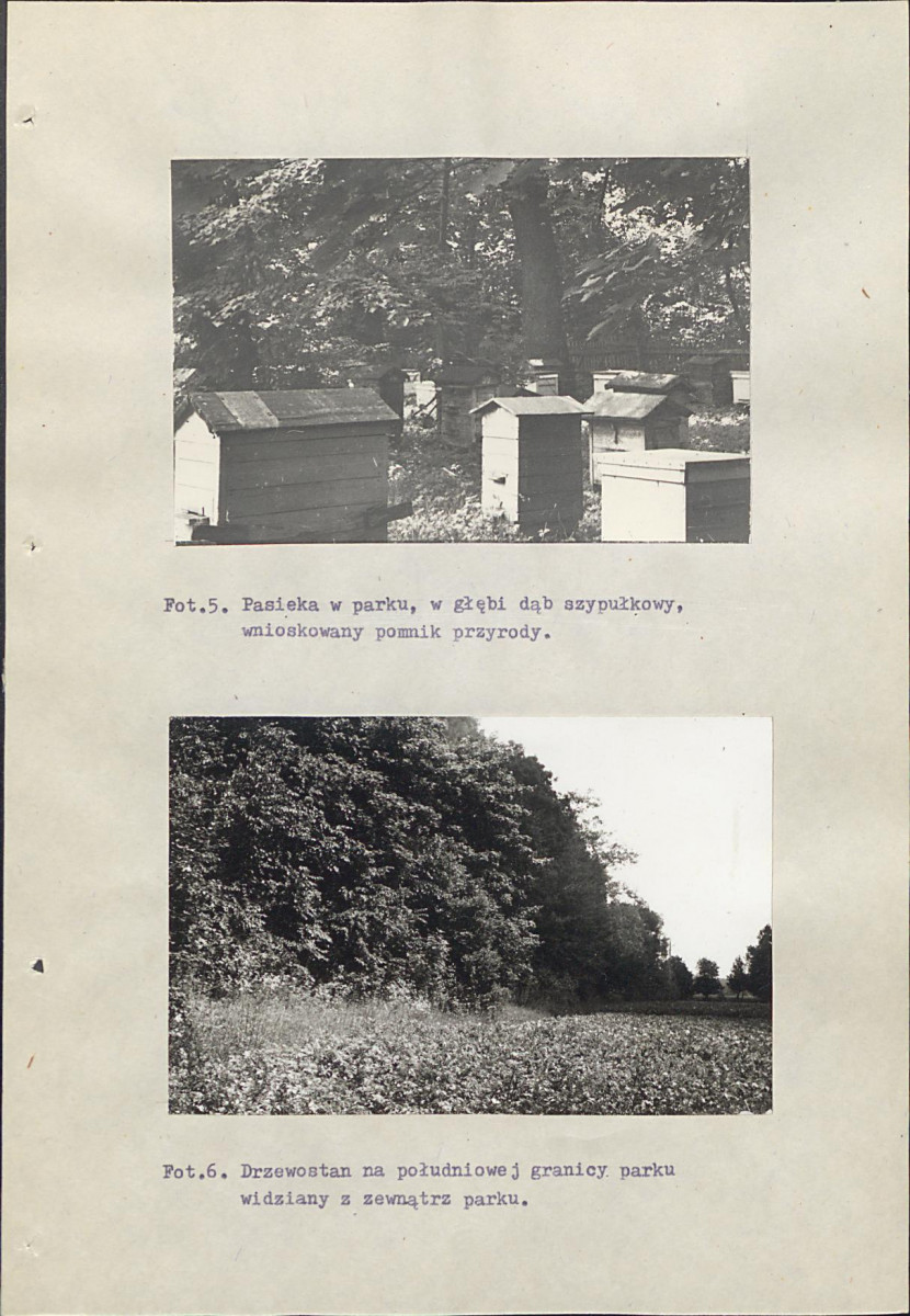 Ewidencja parkowa, skan nr 50