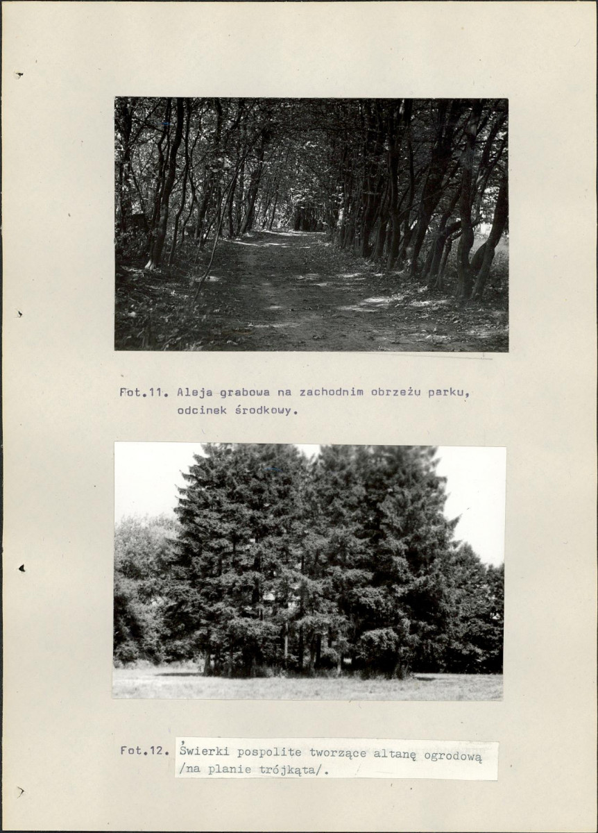 Ewidencja parkowa, skan nr 62