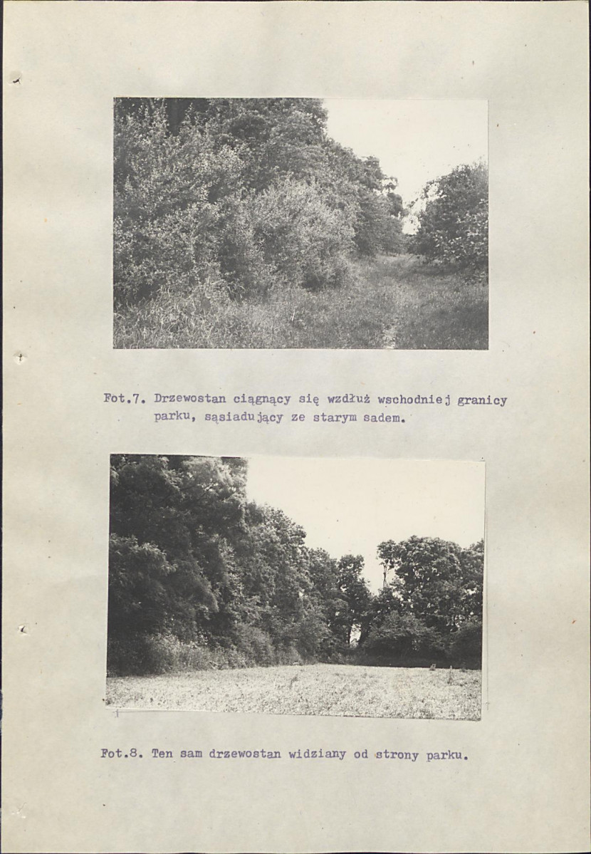 Ewidencja parkowa, skan nr 51