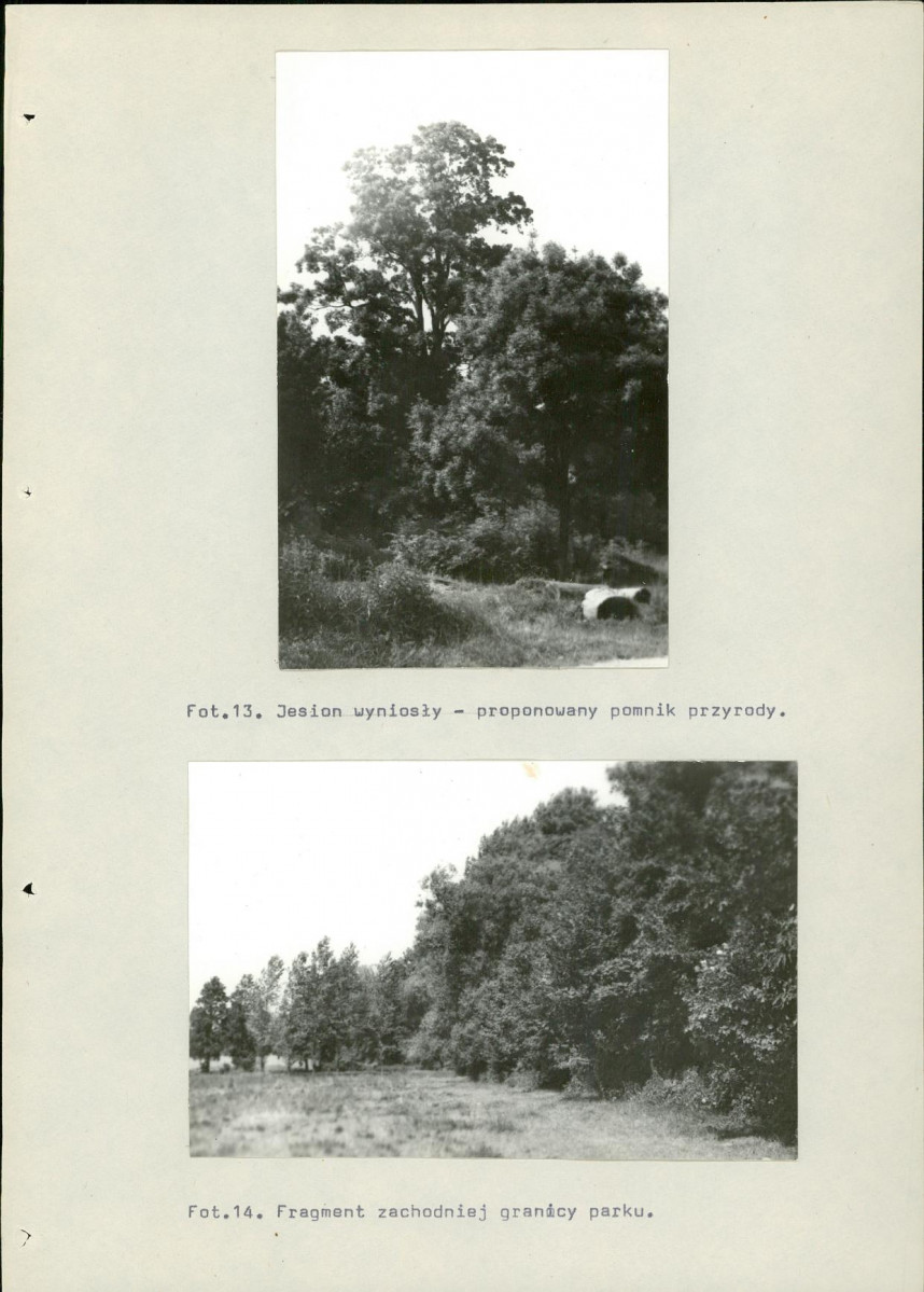 Ewidencja parkowa, skan nr 63