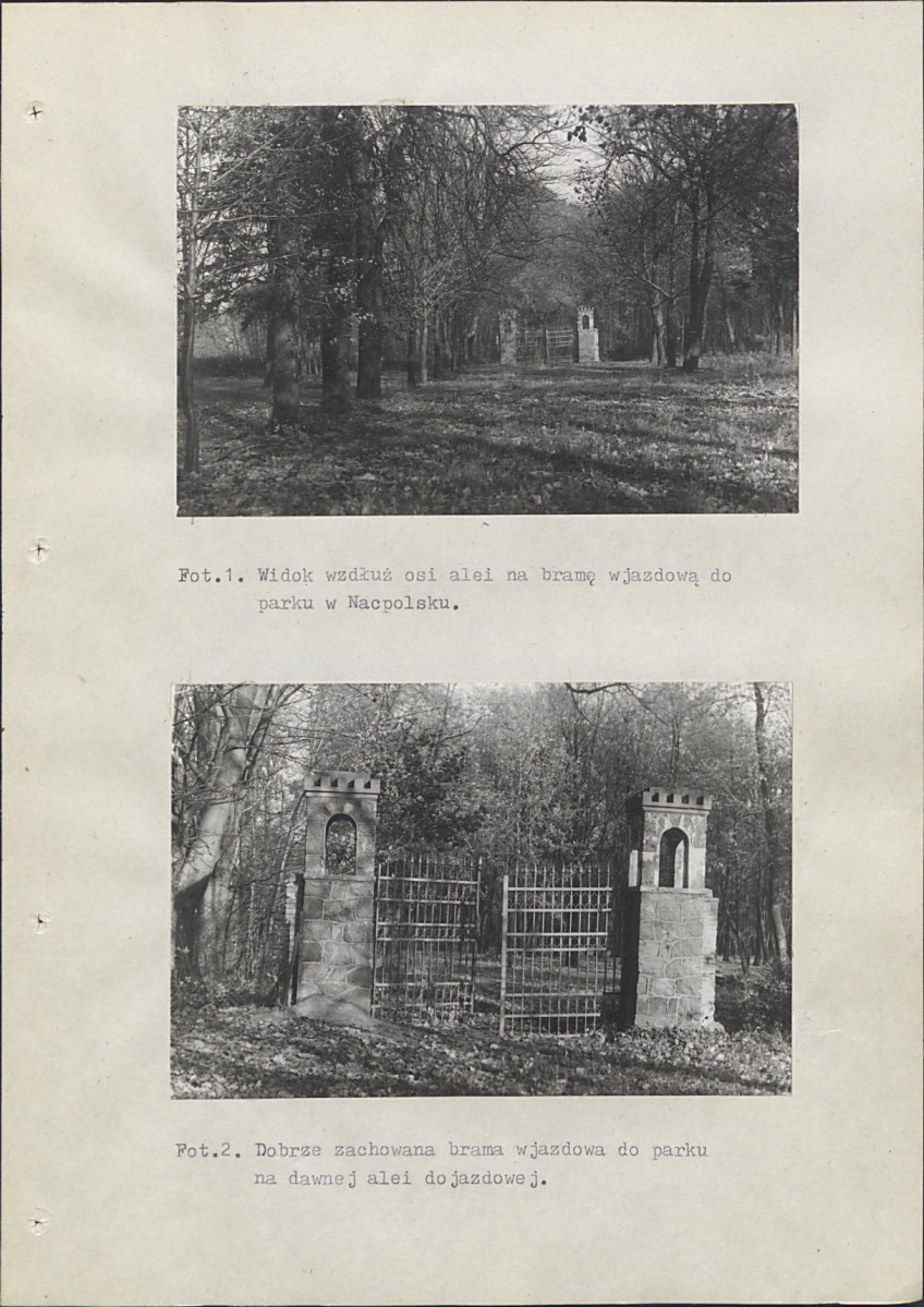 Ewidencja parkowa, skan nr 82