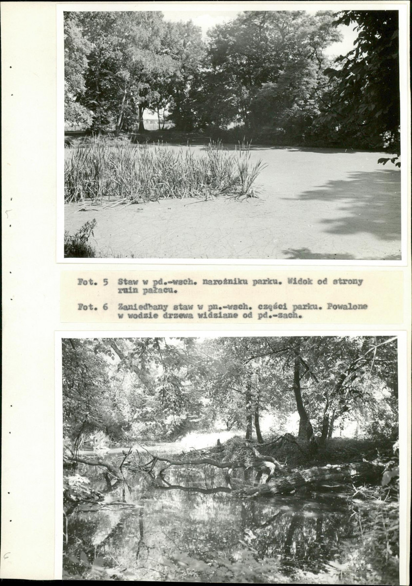 Ewidencja parkowa, skan nr 38