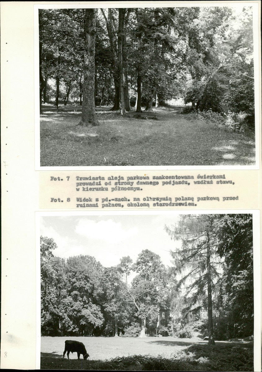 Ewidencja parkowa, skan nr 39