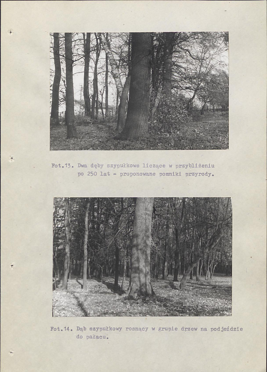 Ewidencja parkowa, skan nr 88