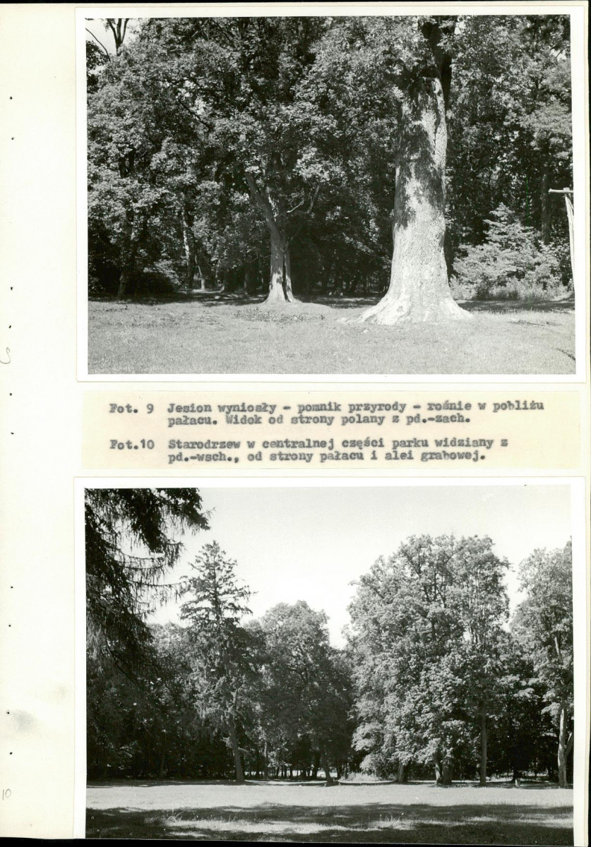 Ewidencja parkowa, skan nr 40