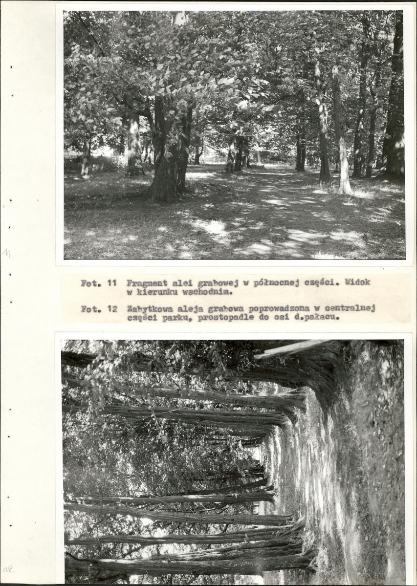 Ewidencja parkowa, skan nr 41