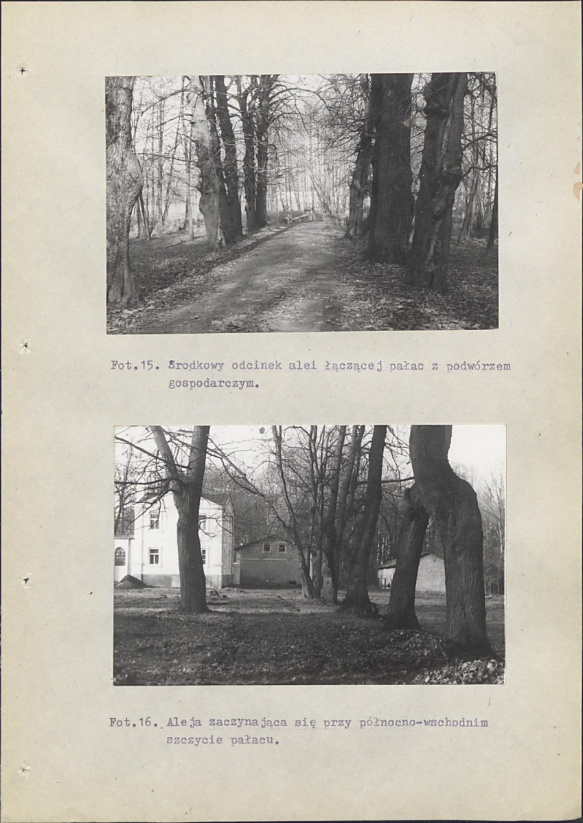 Ewidencja parkowa, skan nr 89