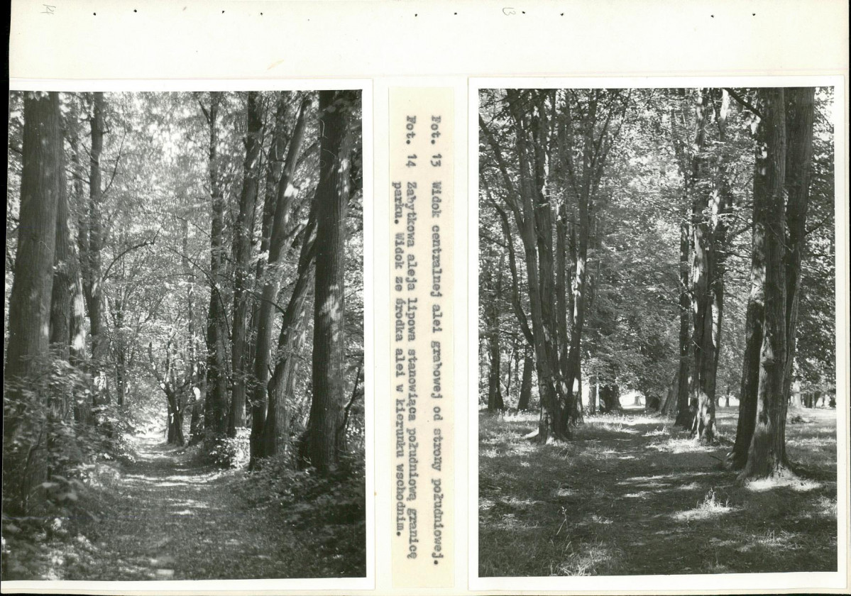 Ewidencja parkowa, skan nr 42