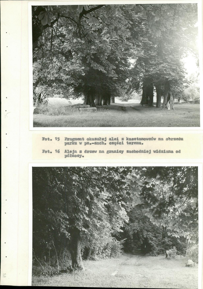 Ewidencja parkowa, skan nr 43