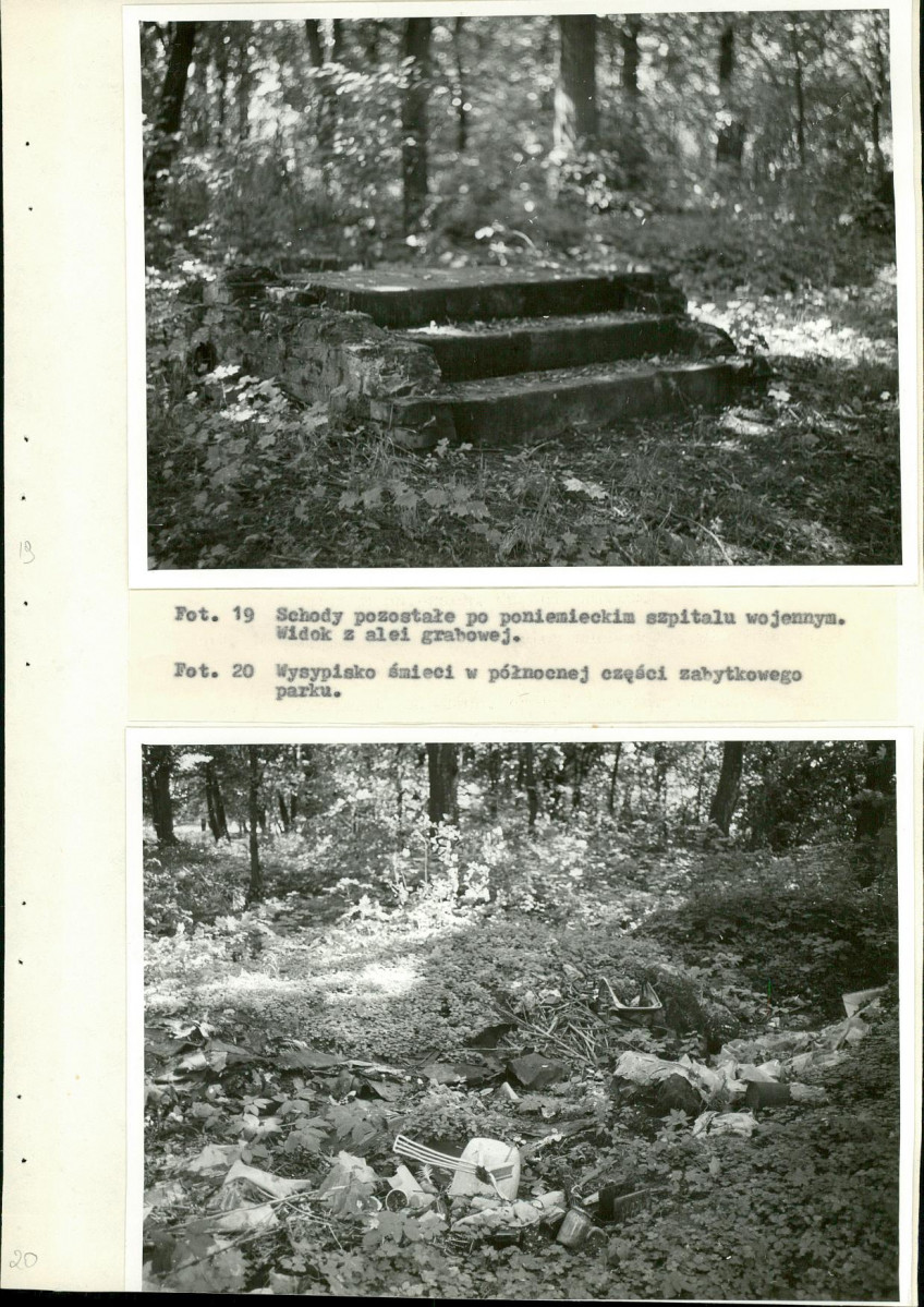 Ewidencja parkowa, skan nr 45