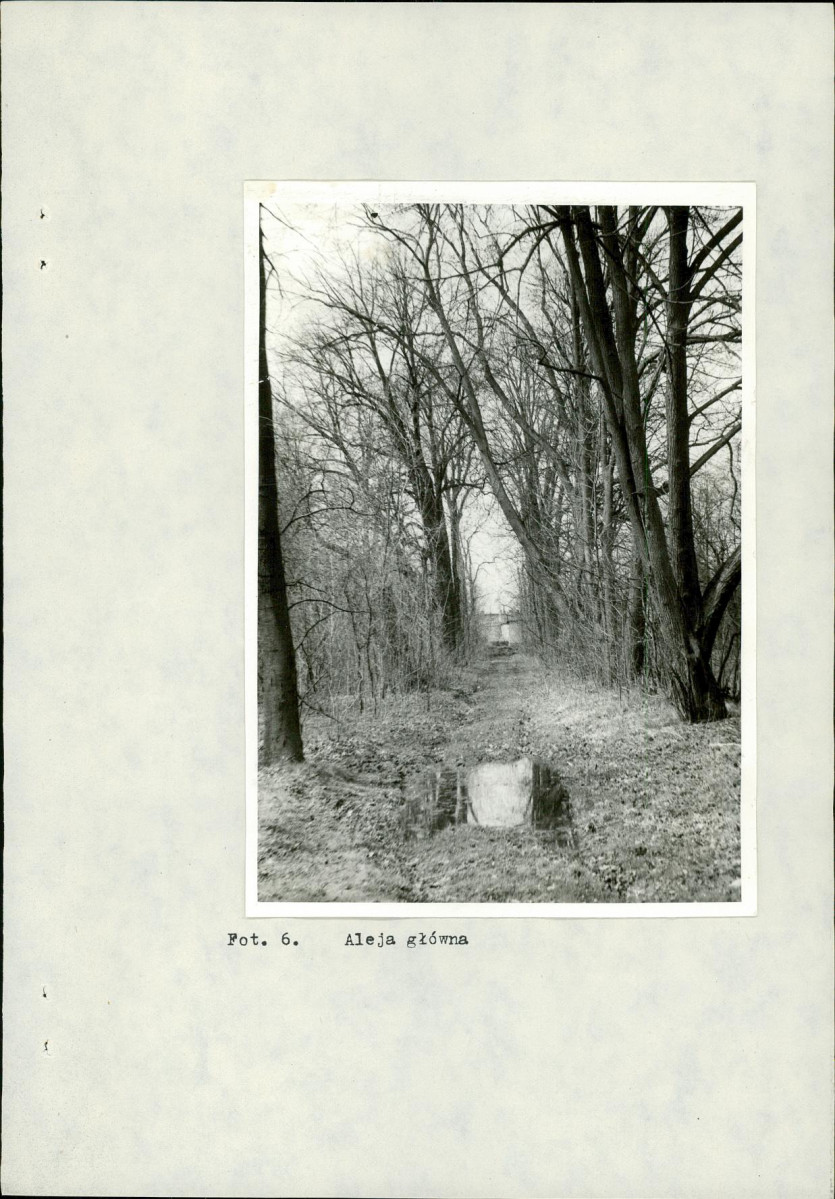 Ewidencja parkowa, skan nr 28