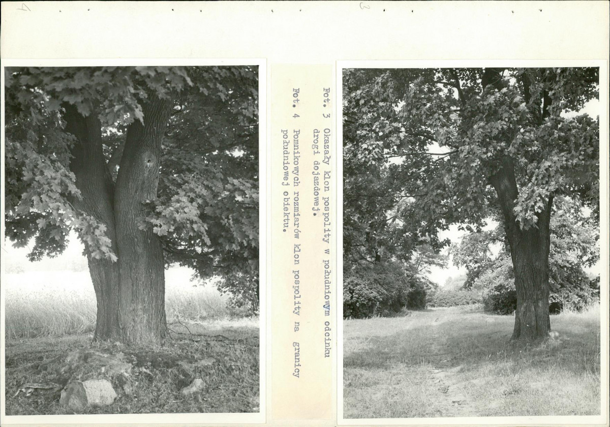 Ewidencja parkowa, skan nr 28