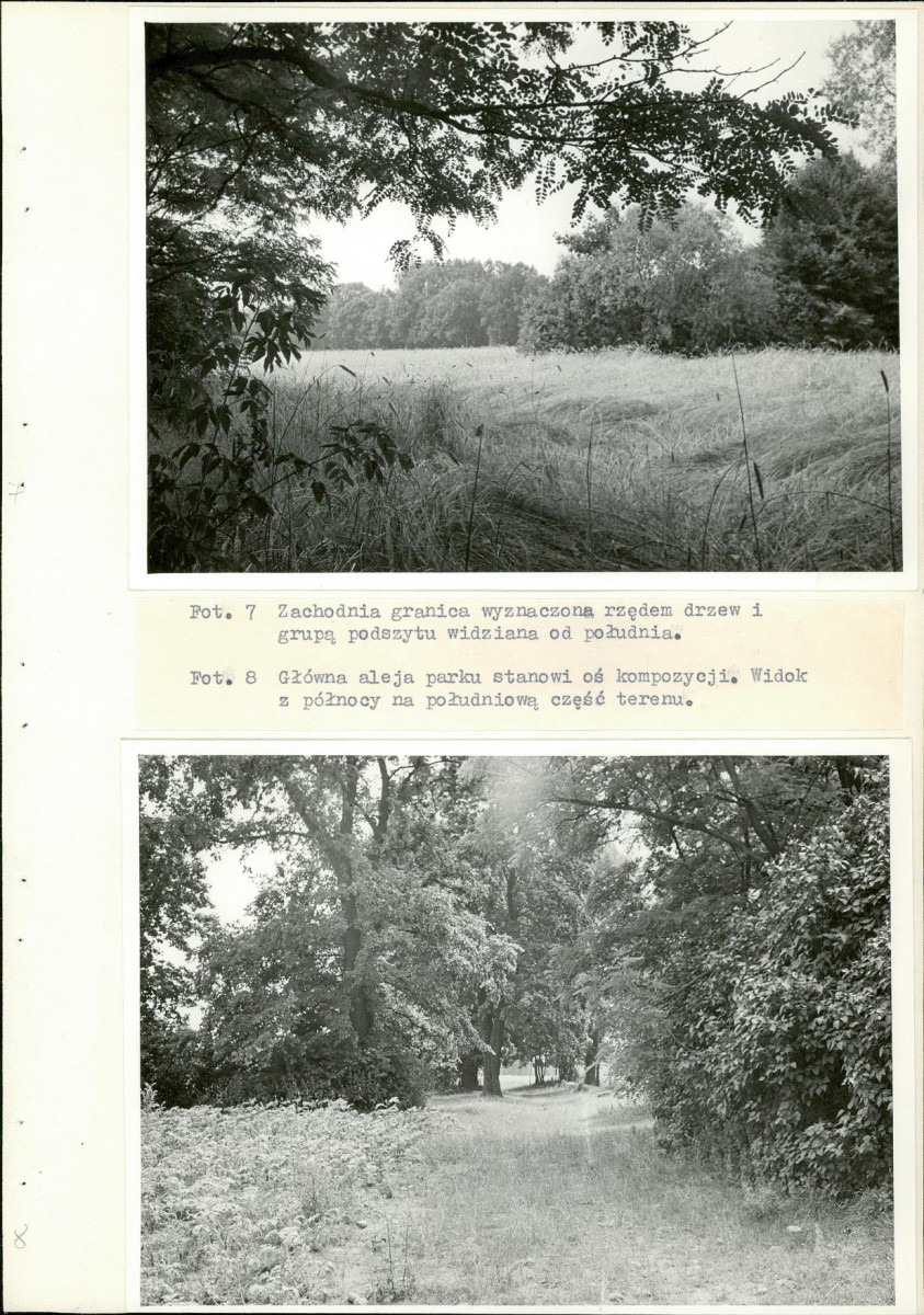 Ewidencja parkowa, skan nr 30