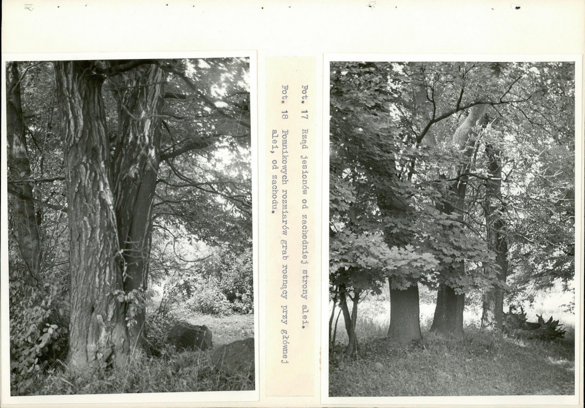 Ewidencja parkowa, skan nr 35